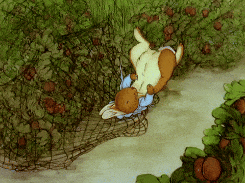 Peter is trapped in a net as birds fly around