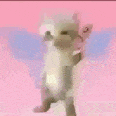 a blurred image of a cat standing on its hind legs