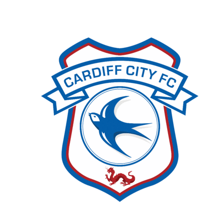 Cardiff City Sticker - Cardiff City Stickers