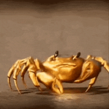 a gold crab is crawling on the ground .