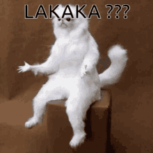 Lakaka GIF - Lakaka GIFs
