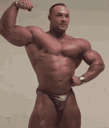 Bodybuilder Poser GIF