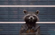 Rocket Raccoon Spit GIF - Rocket Raccoon Spit GIFs