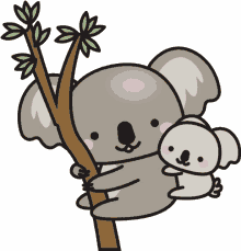 koala ride