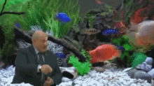 Lukashenko Putin GIF - Lukashenko Putin Fish GIFs