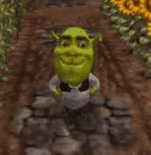 Shrek Angry GIFs