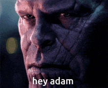 Hi Adam Hey Adam GIF - Hi Adam Hey Adam Adam GIFs