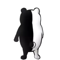 a black and white bear is standing on a white surface