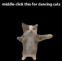 a picture of a cat dancing with the words middle click this for dancing cats below it
