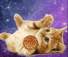 National Pepperoni Pizza Day Kitten GIF