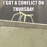 Stickbug Conflict GIF - Stickbug Conflict Thursday GIFs