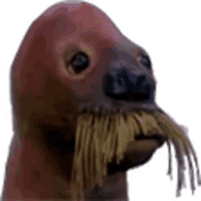 walrus sloppy