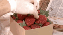 Eu Amo Moranguinhos GIF - Strawberry Shortcake GIFs
