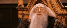 dumbledore harry potter wizard