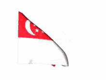 Singapore Flag GIF - Singapore GIFs