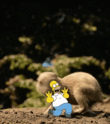 Homer Groundhog GIF - Homer Groundhog Round N Round GIFs