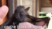 a person holding a bat with the words " on the brink of insanity " written below it
