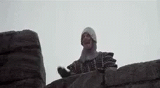 Monty Python GIF - Monty Python - Discover & Share GIFs