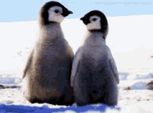 Together Love Penguins GIF - Together Love Penguins Cute GIFs