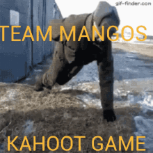 Team Mangos Kahoot Game GIF - Team Mangos Kahoot Game Texas GIFs