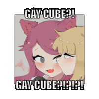a picture of two anime girls with the words gay cube on the bottom