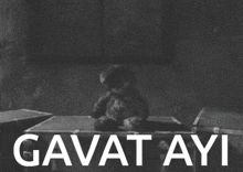 Gavat Ayi Teddy Bear GIF - Gavat Ayi Teddy Bear Mystery GIFs
