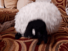 Sheep Toy GIF - Sheep Toy Plush GIFs