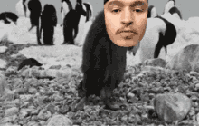a penguin with a man 's face on its head