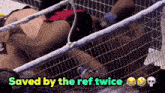 a wrestling match with the words saved by the ref twice on the bottom