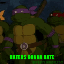 Tmnt Haters Gonna Hate GIF - Tmnt Haters Gonna Hate Haters GIFs