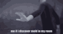 Me If I Discover Mold In My Room Mold GIF