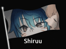 Shiruu Flag GIF - Shiruu Flag GIFs