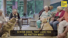 60second docs sixty second documentaries dog retirement home senior dogs dogs