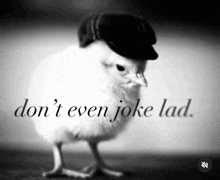 a black and white photo of a chicken wearing a hat with the words " don t even joke lad " written below it