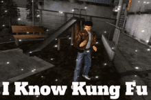Shenmue Shenmue I Know Kung Fu GIF - Shenmue Shenmue I Know Kung Fu I Know Kung Fu GIFs