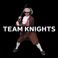Team Gnome Team Knight GIF