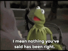 Kermit I Mean Nothing GIF - Kermit I Mean Nothing You Said GIFs