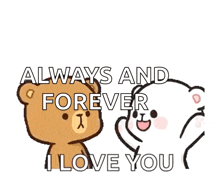 a brown and white teddy bear standing next to each other with the words `` always and forever i love you ''