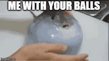 Me With Your Balls Fish GIF - Me With Your Balls Fish Balls GIFs