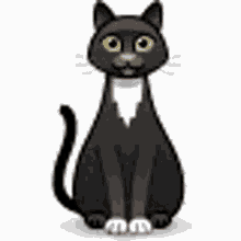 Skype Cat GIF - Skype Cat Animation GIFs