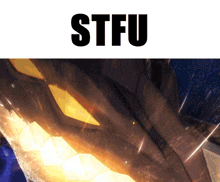 a picture of a dragon with the word stfu above it