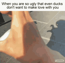 Duck Ducks GIF - Duck Ducks Love GIFs