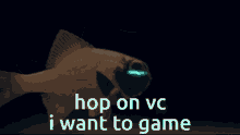 Fish Vc Vc Fish GIF