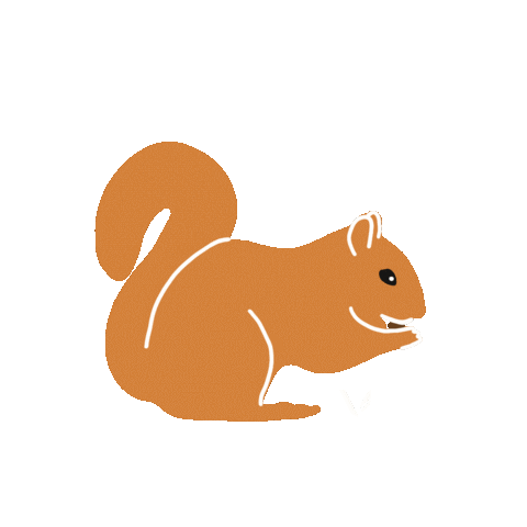 Nut Squirrel Sticker - Nut Squirrel Stickers