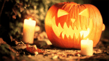 halloween jack lantern festival pumpkin
