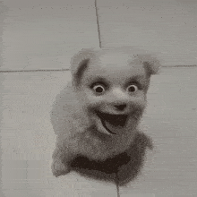 Scary Dog GIF - Scary Dog GIFs