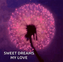 Sweet Dreams My Love Flower GIF - Sweet Dreams My Love Flower Sparkles GIFs