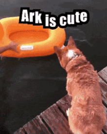 Ark Arkko GIF - Ark Arkko Karro GIFs