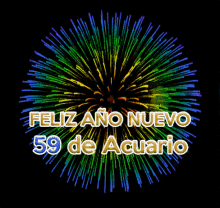 Acuario Happy New Year GIF - Acuario Happy New Year Fireworks GIFs