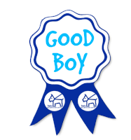a blue and white ribbon with the words good boy on it